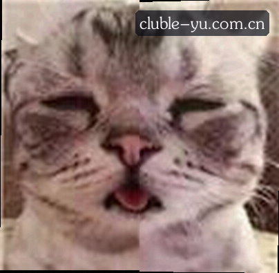 张鹏