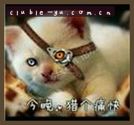 陈昊